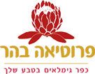 פרוטאה בהר